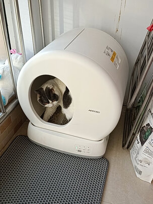 猫砂铲