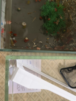 桌面鱼缸