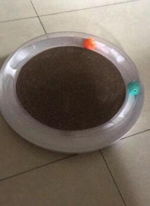 猫窝