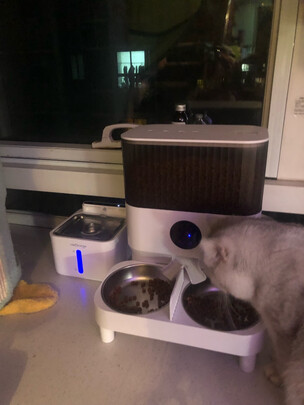 宠物饮水机