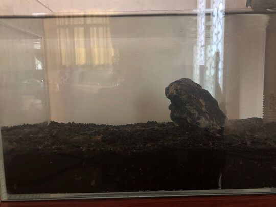 桌面鱼缸