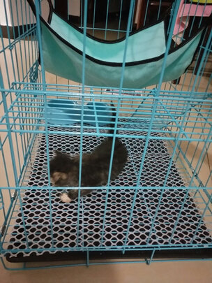  猫笼