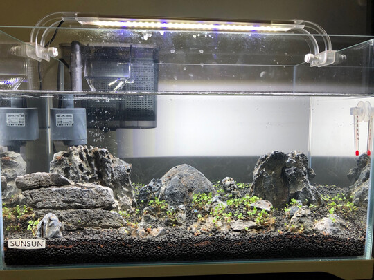 鱼缸水草灯