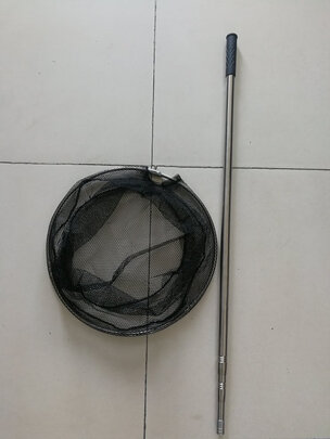 钓鱼抄网