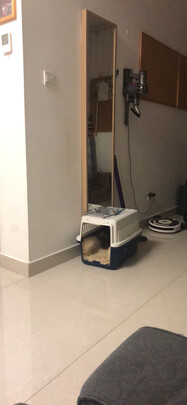 宠物航空箱