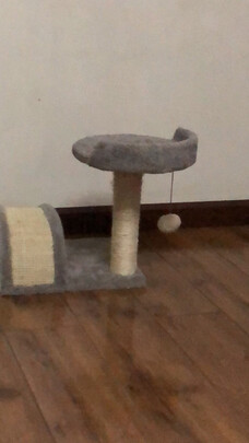 猫爬架