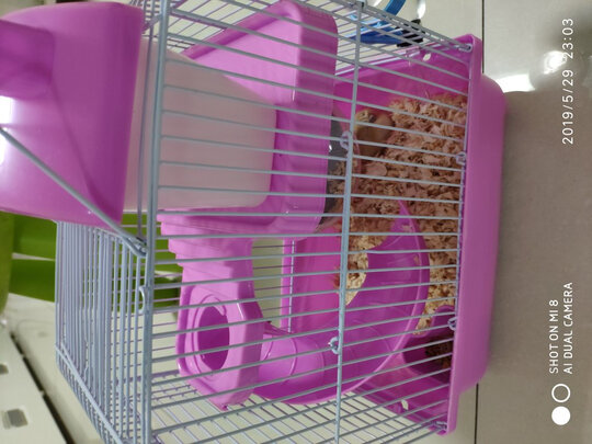 仓鼠水壶