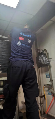 老板（Robam）抽油烟机双腔双吸22风量超级大吸力炫彩星耀灰屏顶吸式欧式单品烟机 以旧换新CXW-330-65D1