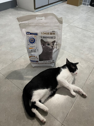 猫砂