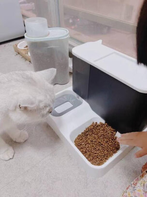 宠物饮水机