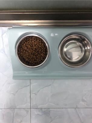 猫碗狗碗