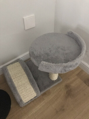猫爬架