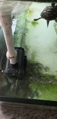 鱼缸水泵