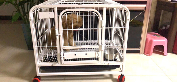  狗笼