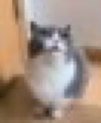 猫砂盆