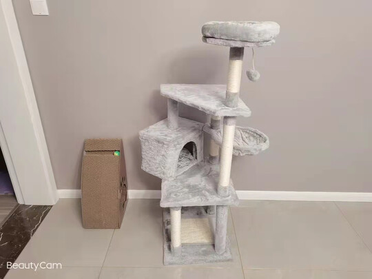 猫爬架