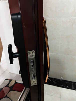 智能锁|王力XD601智能锁独家揭秘评测真相,不看后悔!