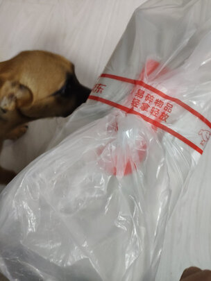 宠物尿垫