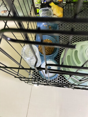 猫碗狗碗