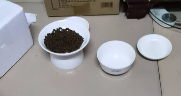 猫碗狗碗