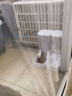宠物自动喂食器