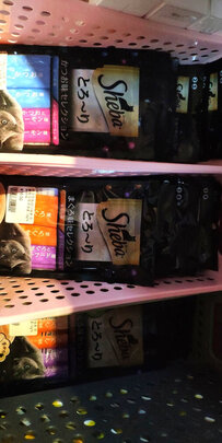 猫条猫零食
