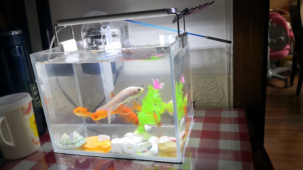 鱼缸灯led灯