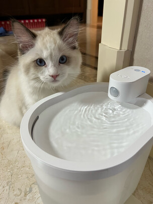 宠物饮水机