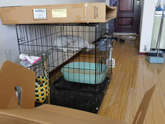  猫笼