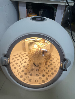  宠物烘干箱