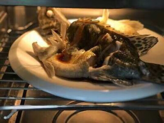 蒸烤箱|【今日頭條】詩凱麥蒸烤一體機怎么樣上手后揭秘內幕