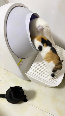 猫砂铲