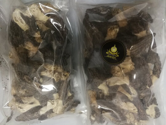 南北干货