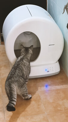 猫砂铲