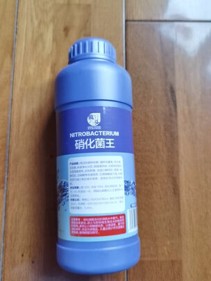 鱼缸硝化细菌