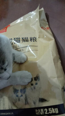 猫粮