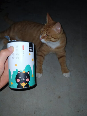 猫冻干