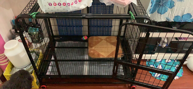 狗笼