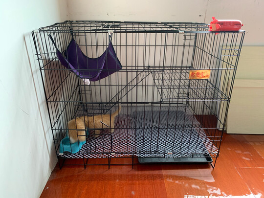 猫笼