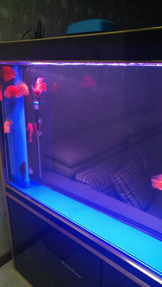 鱼缸灯led灯