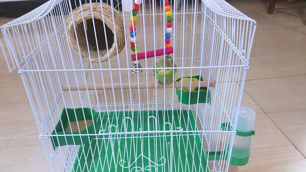 鸟笼
