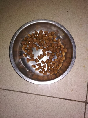 狗粮