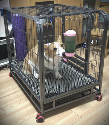 狗笼