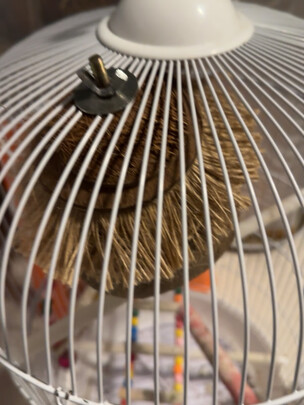 鸟笼