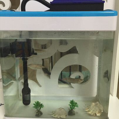鱼缸水泵