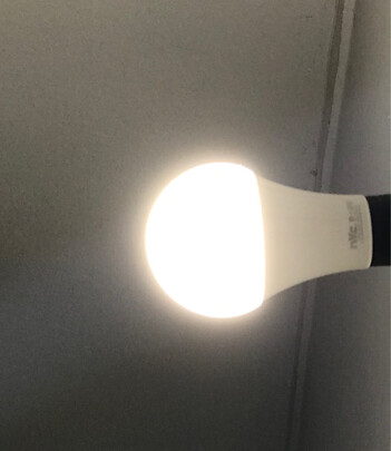 led灯泡