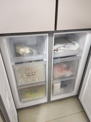 容声BCD-451WD11FP一个月后开始后悔了诉说原因