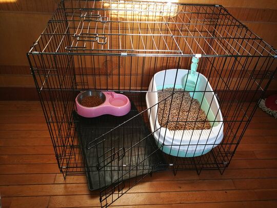 猫笼