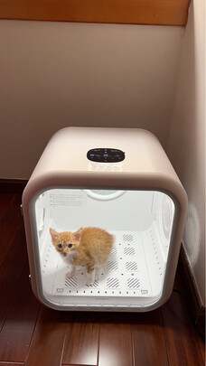  宠物烘干箱