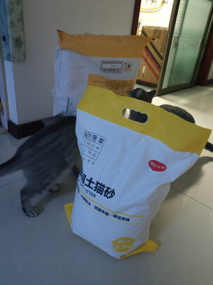 膨润土猫砂